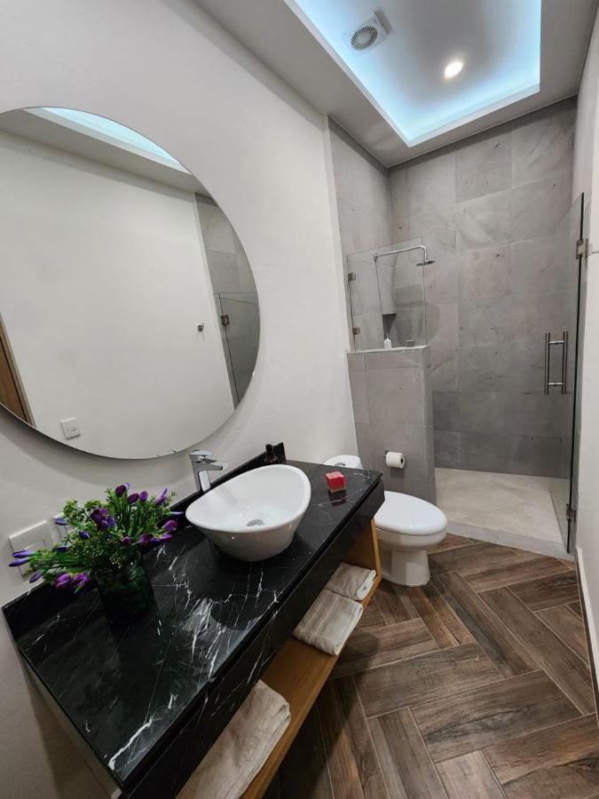 Hotel Ursula Concept كويريتارو المظهر الخارجي الصورة